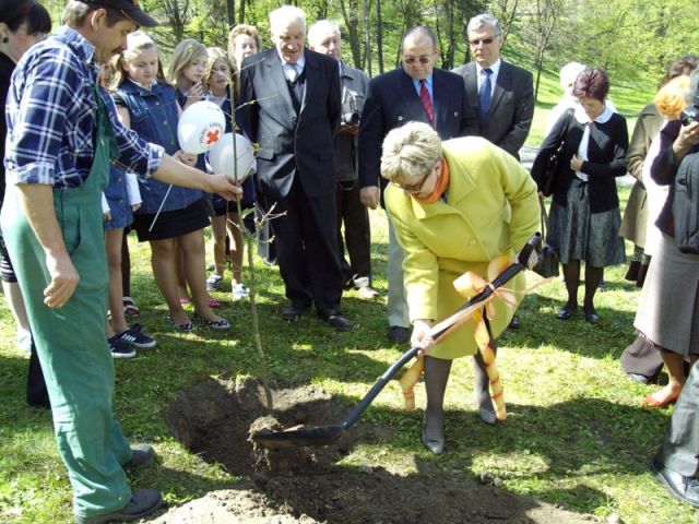 Sadzenie drzewka dębowego