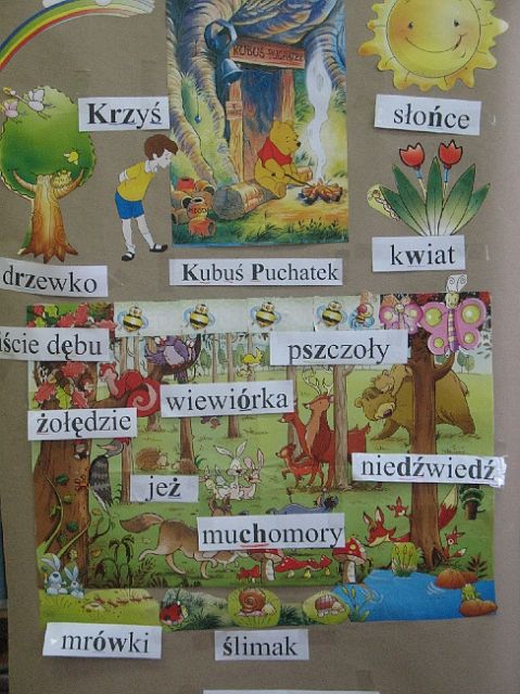 W Stumilowym Lesie, czyli ortograficzne wędrówki z Kubusiem Puchatkiem