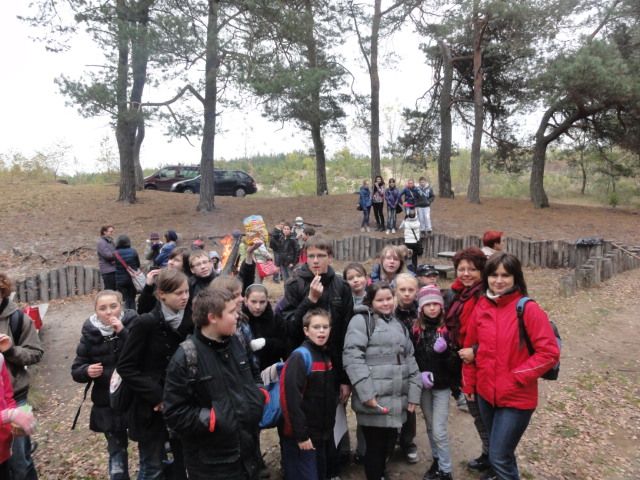 Międzynarodowy Rok Lasu