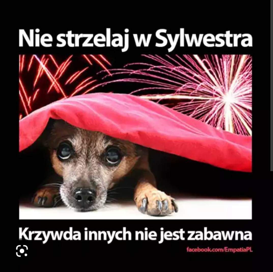 Dziesiątka Nie Strzela w Sylwestra